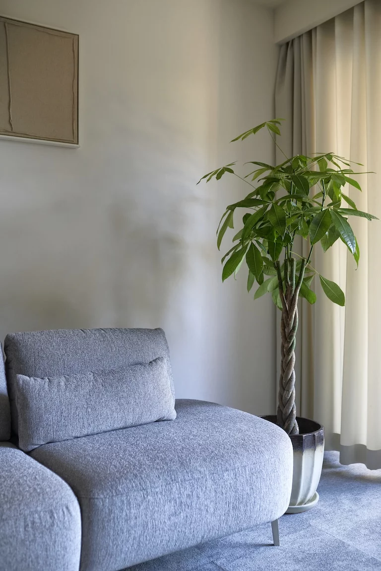 Galeria 1